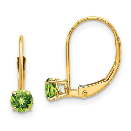 Leverback Birthstone Earrings Basket Setting