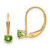 Leverback Birthstone Earrings Basket Setting