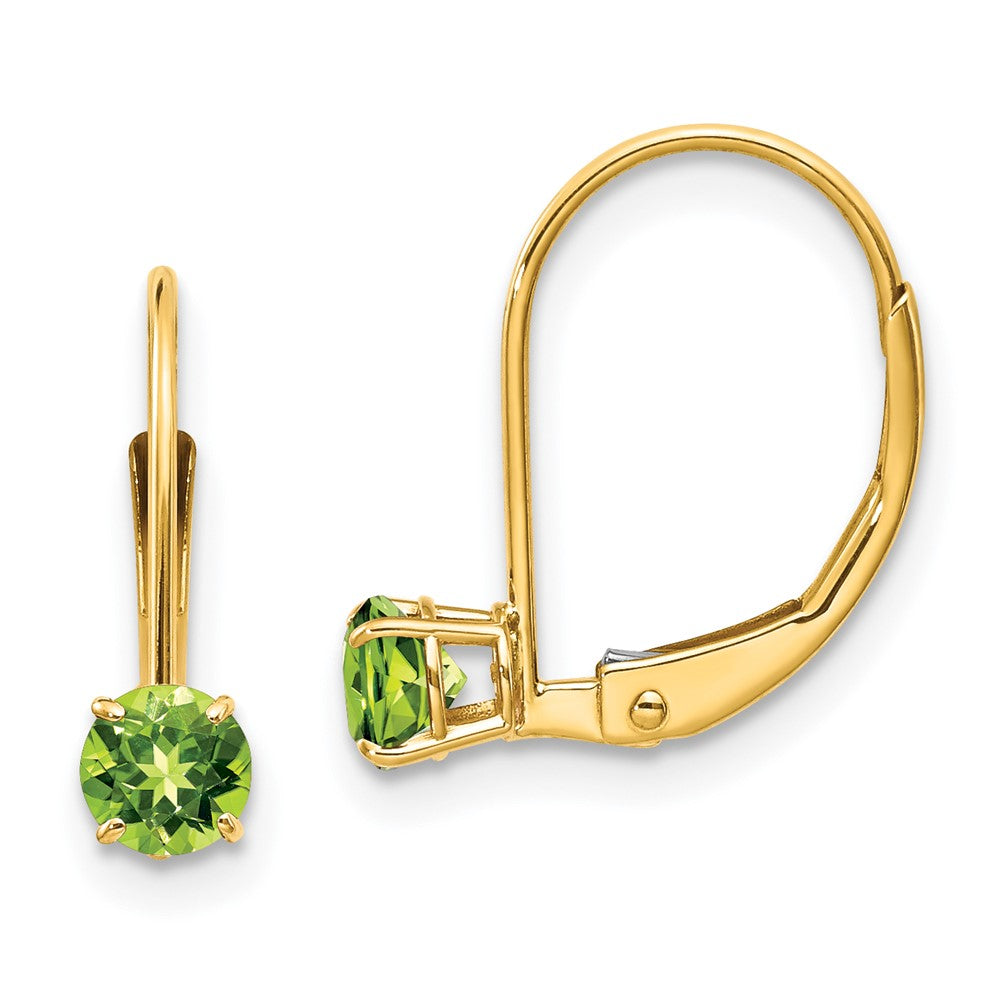 Leverback Birthstone Earrings Basket Setting