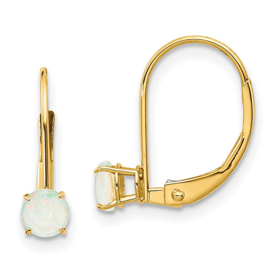 Leverback Birthstone Earrings Basket Setting