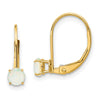 Leverback Birthstone Earrings Basket Setting