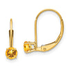 Leverback Birthstone Earrings Basket Setting