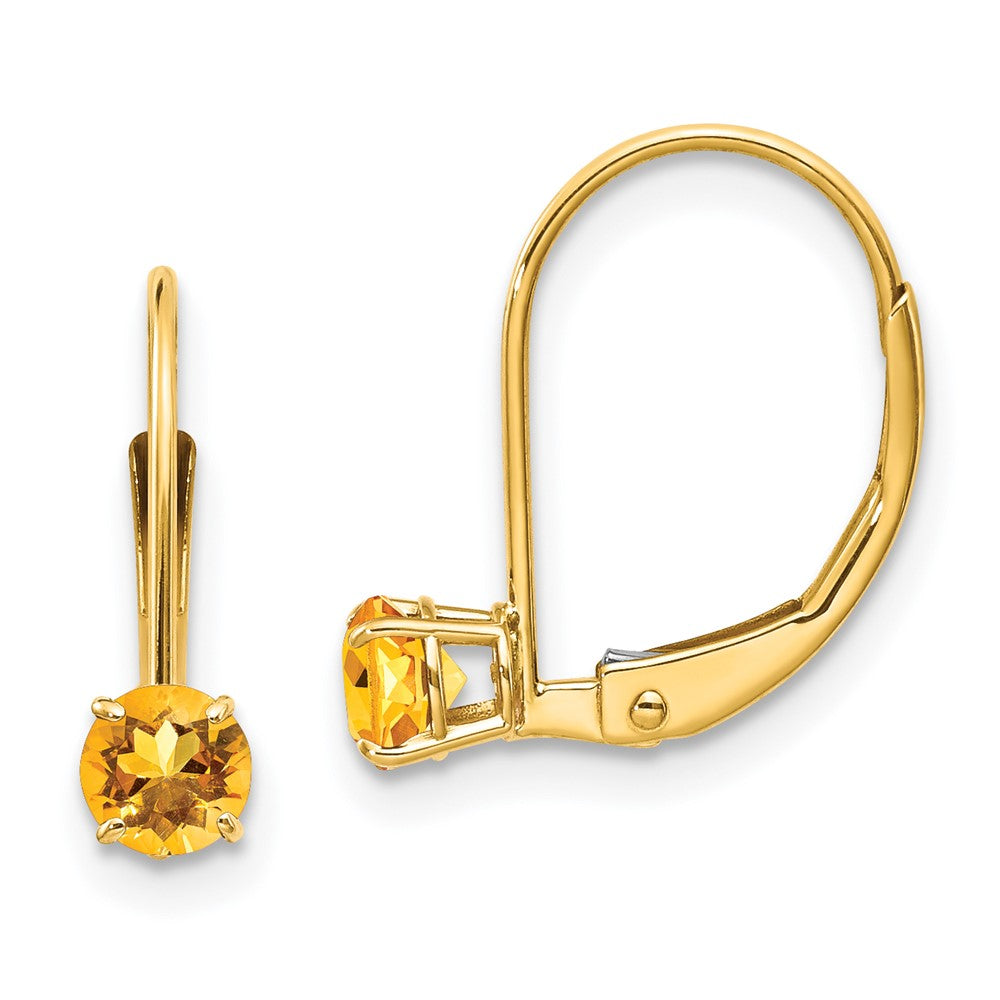 Leverback Birthstone Earrings Basket Setting