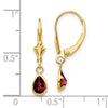 14k 6x4mm Pear Bezel January/Garnet Leverback Earrings