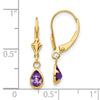 14k 6x4mm Pear Bezel February/Amethyst Leverback Earrings