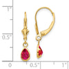 14k 6x4mm Pear Bezel July/Ruby Leverback Earrings