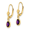 14k 6x4 Oval Bezel February/Amethyst Leverback Earrings