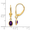 14k 6x4 Oval Bezel February/Amethyst Leverback Earrings