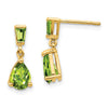 Gemstone Dangle Earrings