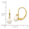 FWC Pearl & Diamond Leverback Earrings