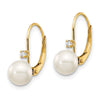 FWC Pearl & Diamond Leverback Earrings