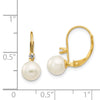 FWC Pearl & Diamond Leverback Earrings