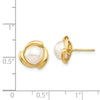 14K 7-8mm White Button Freshwater Cultured Pearl Post Earrings