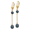 14k 5-7mm Black Rice and Semi-Round Freshwater Cultured Pearl Chain Dangle Leverback Earrings
