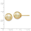 14k 10-11mm Round Golden South Sea Saltwater Cultured Pearl Post Earrings