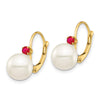 14k 8-8.5mm White Round Freshwater Cultured Pearl and .18RU Ruby Leverback Earrings