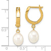 Gold FWC Pearl Dangle Hoop Earrings