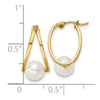 14k Polished 6-7mm Round White Freshwater Cultured Pearl Hoop Earrings