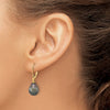 Gold Tahitian Pearl Leverback Earrings