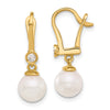 Gold Pearl and Diamond Dangle Earrings