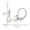 FWC Pearl & Diamond Leverback Earrings
