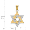 14K Two-Tone Star Of David Pendant