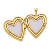 14K Floral Vine Border 20mm Heart Locket