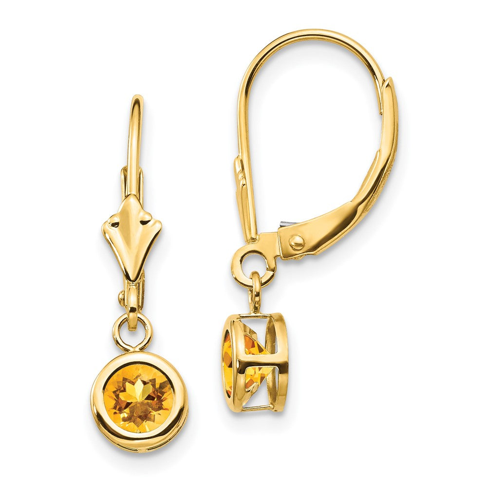 Round Gemstone Bezel Leverback Earrings