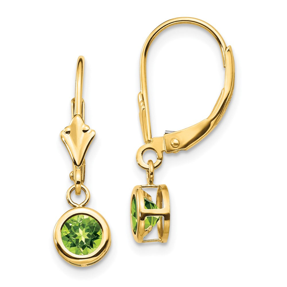 Round Gemstone Bezel Leverback Earrings