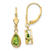 Pear Gemstone Bezel Leverback Earrings