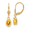 Oval Gemstone Bezel Leverback Earrings