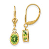 Oval Gemstone Bezel Leverback Earrings