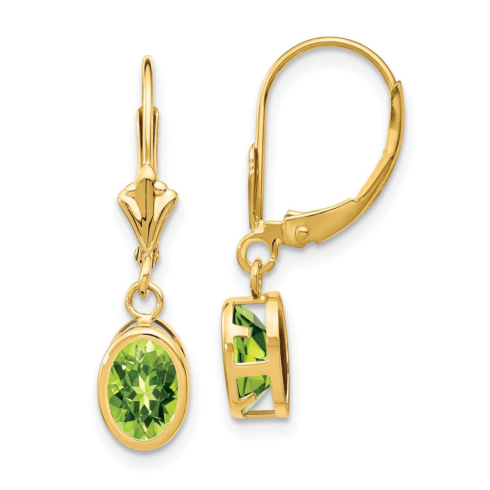 Oval Gemstone Bezel Leverback Earrings