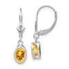 Oval Gemstone Bezel Leverback Earrings