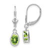 Oval Gemstone Bezel Leverback Earrings