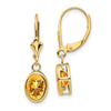 Oval Gemstone Bezel Leverback Earrings