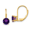 Round Gemstone Leverback Earrings