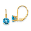 Round Gemstone Leverback Earrings