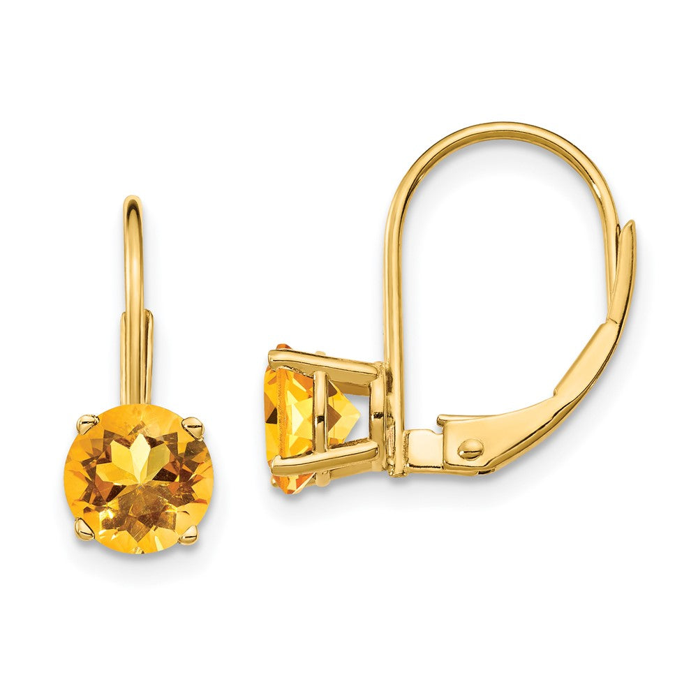Round Gemstone Leverback Earrings