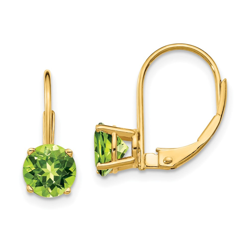 Round Gemstone Leverback Earrings
