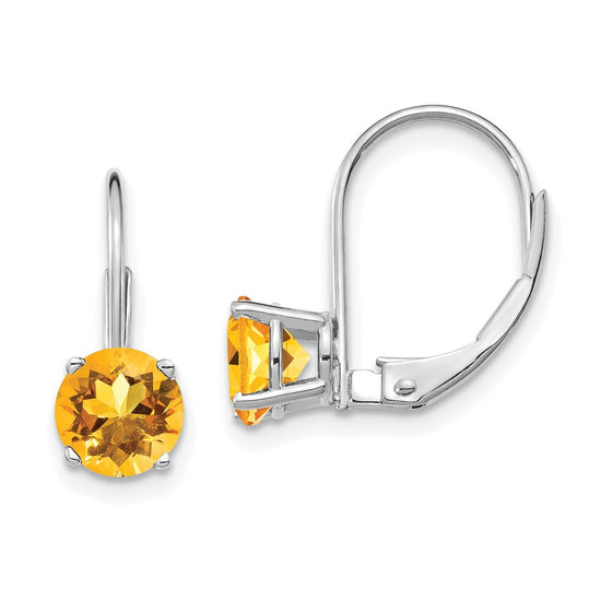 Round Gemstone Leverback Earrings