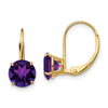Round Gemstone Leverback Earrings