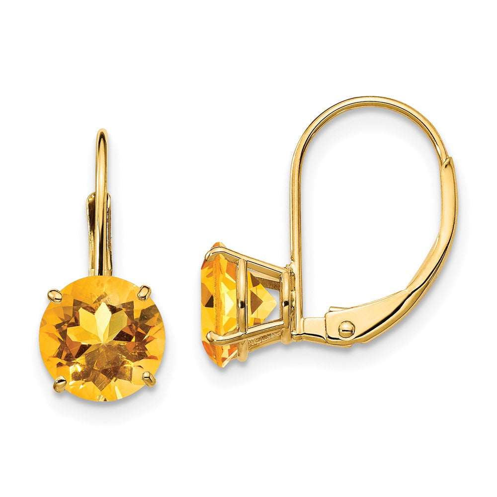 Round Gemstone Leverback Earrings