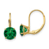 Round Gemstone Leverback Earrings