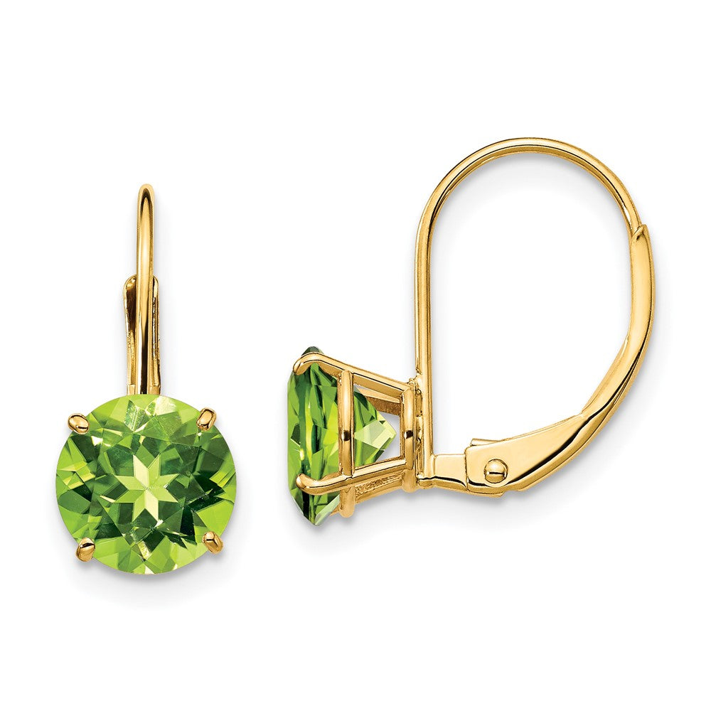 Round Gemstone Leverback Earrings