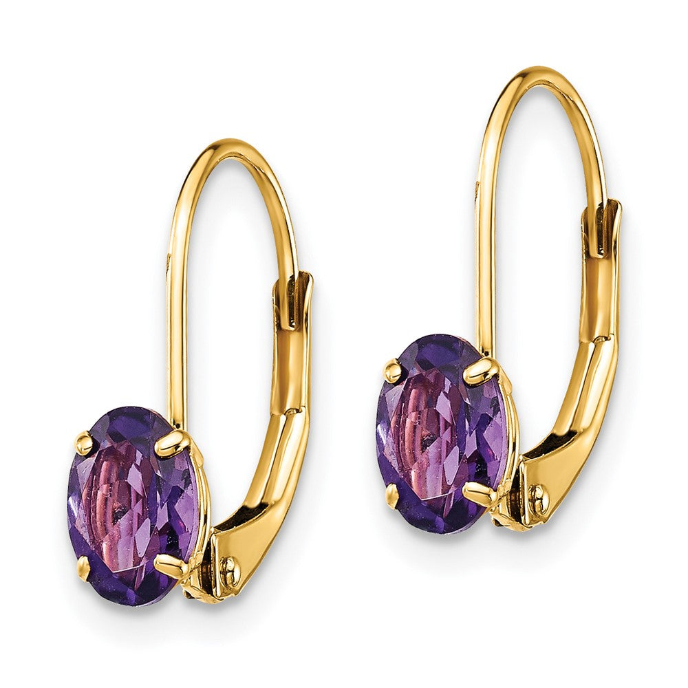 Oval Gemstone Leverback Earrings
