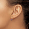 Oval Gemstone Leverback Earrings