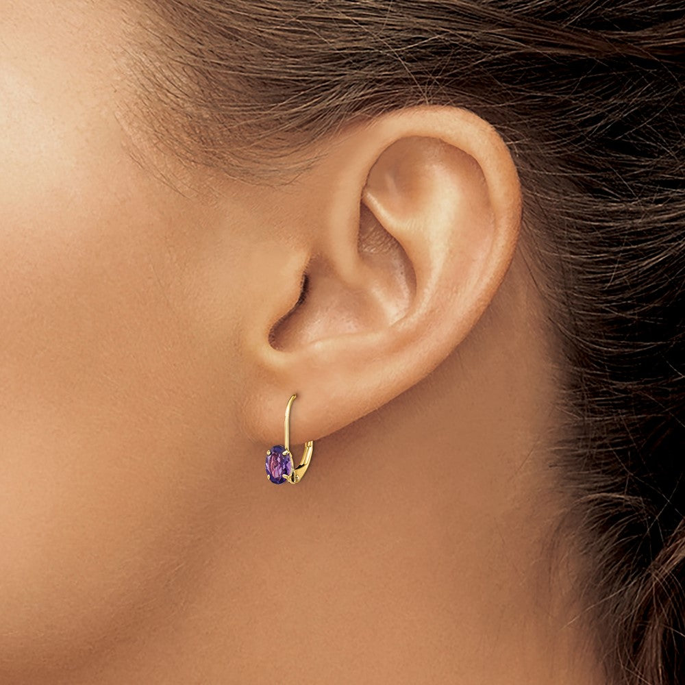 Oval Gemstone Leverback Earrings