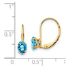 Oval Gemstone Leverback Earrings