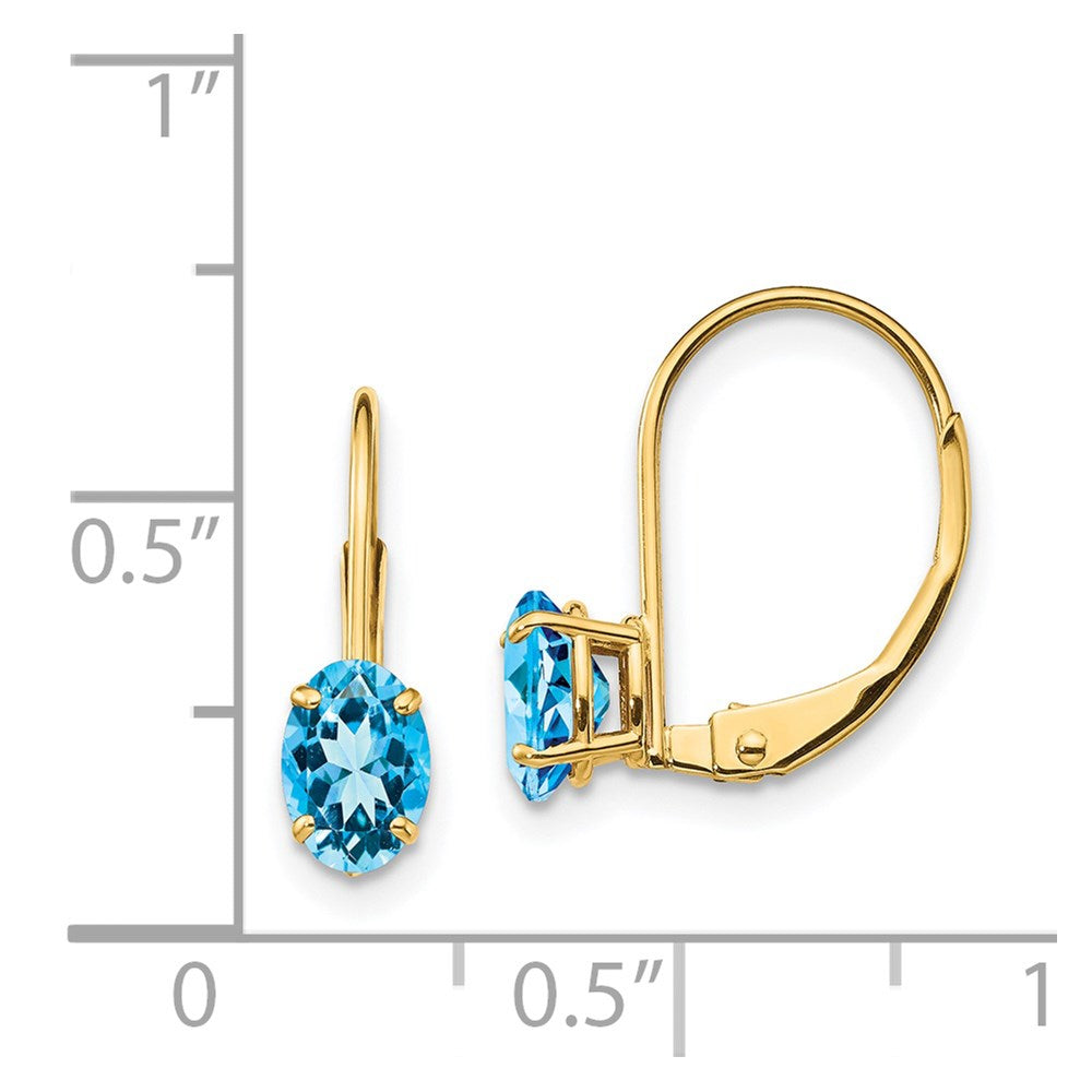 Oval Gemstone Leverback Earrings